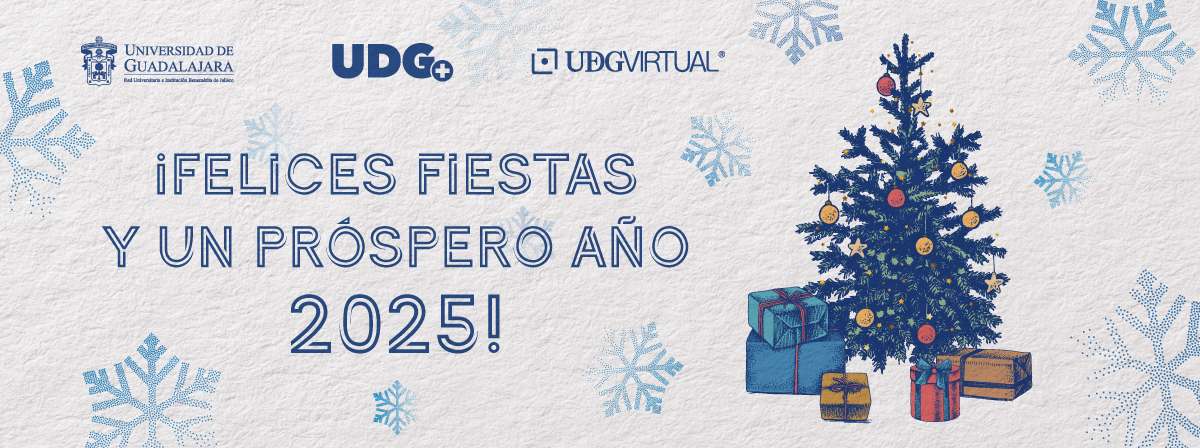 ¡Felices fiestas y un próspero año 2025!